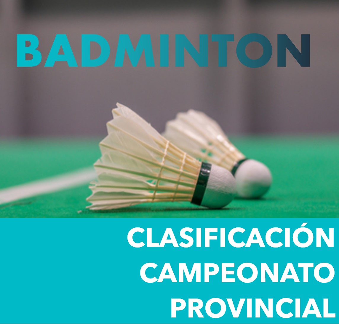 Campeonato Badminton