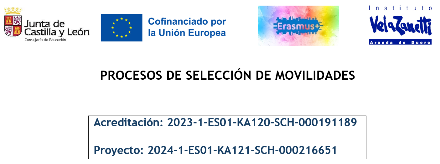 Internalización_Procesos de Selección de Movilidades