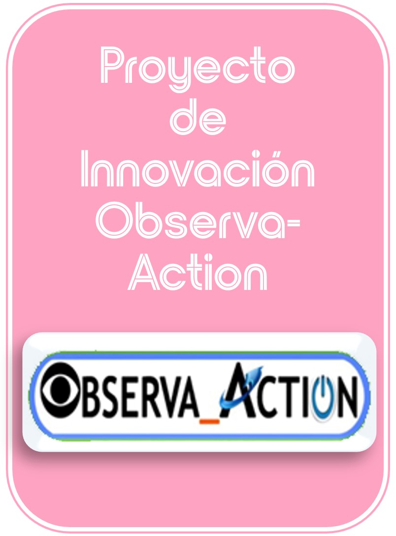 Proyecto de Innovación Observa-Action